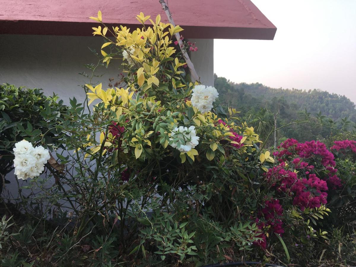 Tea Terrace Vythiri Hotel Wayanad Ngoại thất bức ảnh