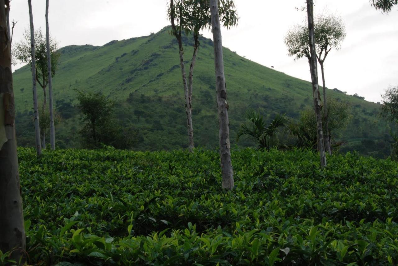 Tea Terrace Vythiri Hotel Wayanad Ngoại thất bức ảnh