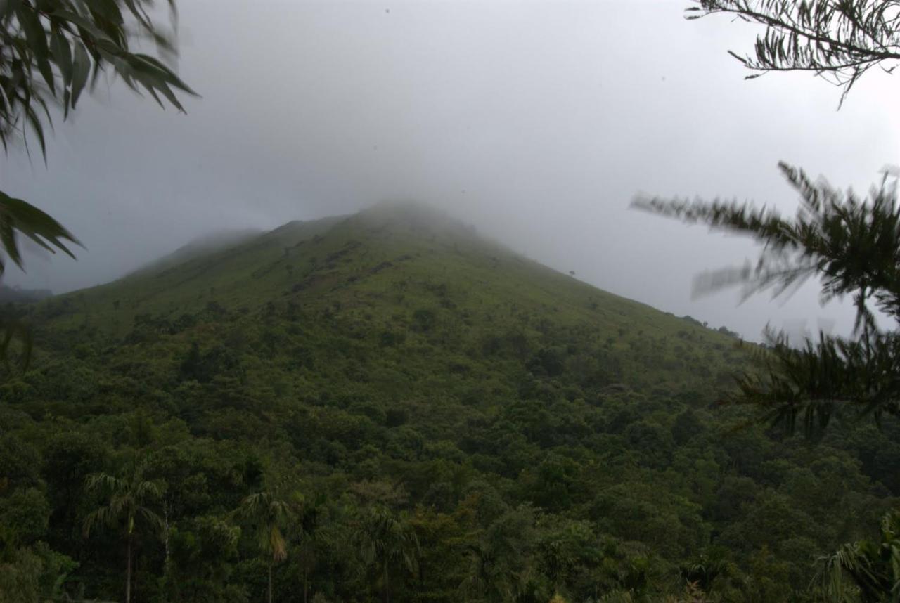 Tea Terrace Vythiri Hotel Wayanad Ngoại thất bức ảnh