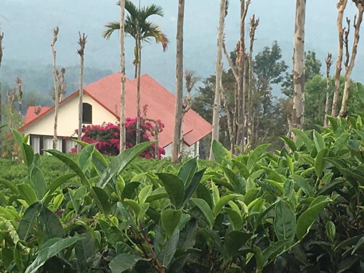 Tea Terrace Vythiri Hotel Wayanad Ngoại thất bức ảnh