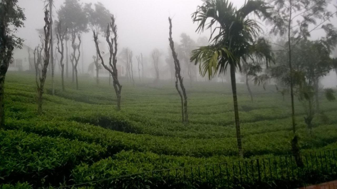 Tea Terrace Vythiri Hotel Wayanad Ngoại thất bức ảnh