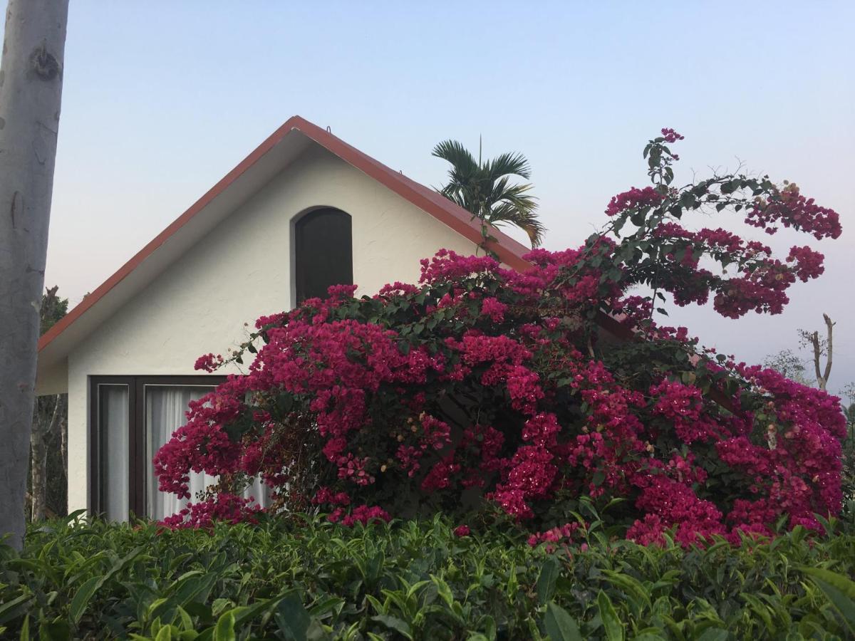 Tea Terrace Vythiri Hotel Wayanad Ngoại thất bức ảnh