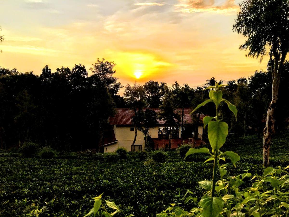 Tea Terrace Vythiri Hotel Wayanad Ngoại thất bức ảnh