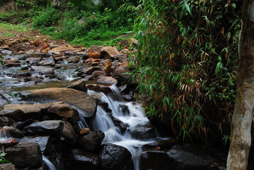 Tea Terrace Vythiri Hotel Wayanad Ngoại thất bức ảnh